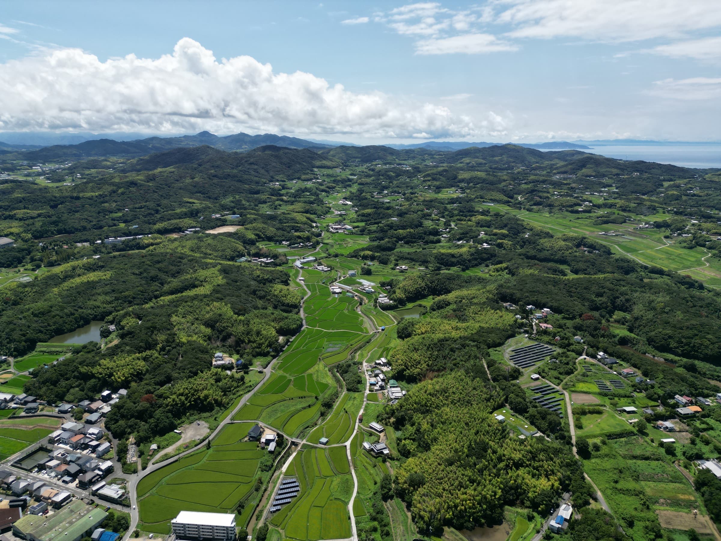 Aerial Study 12