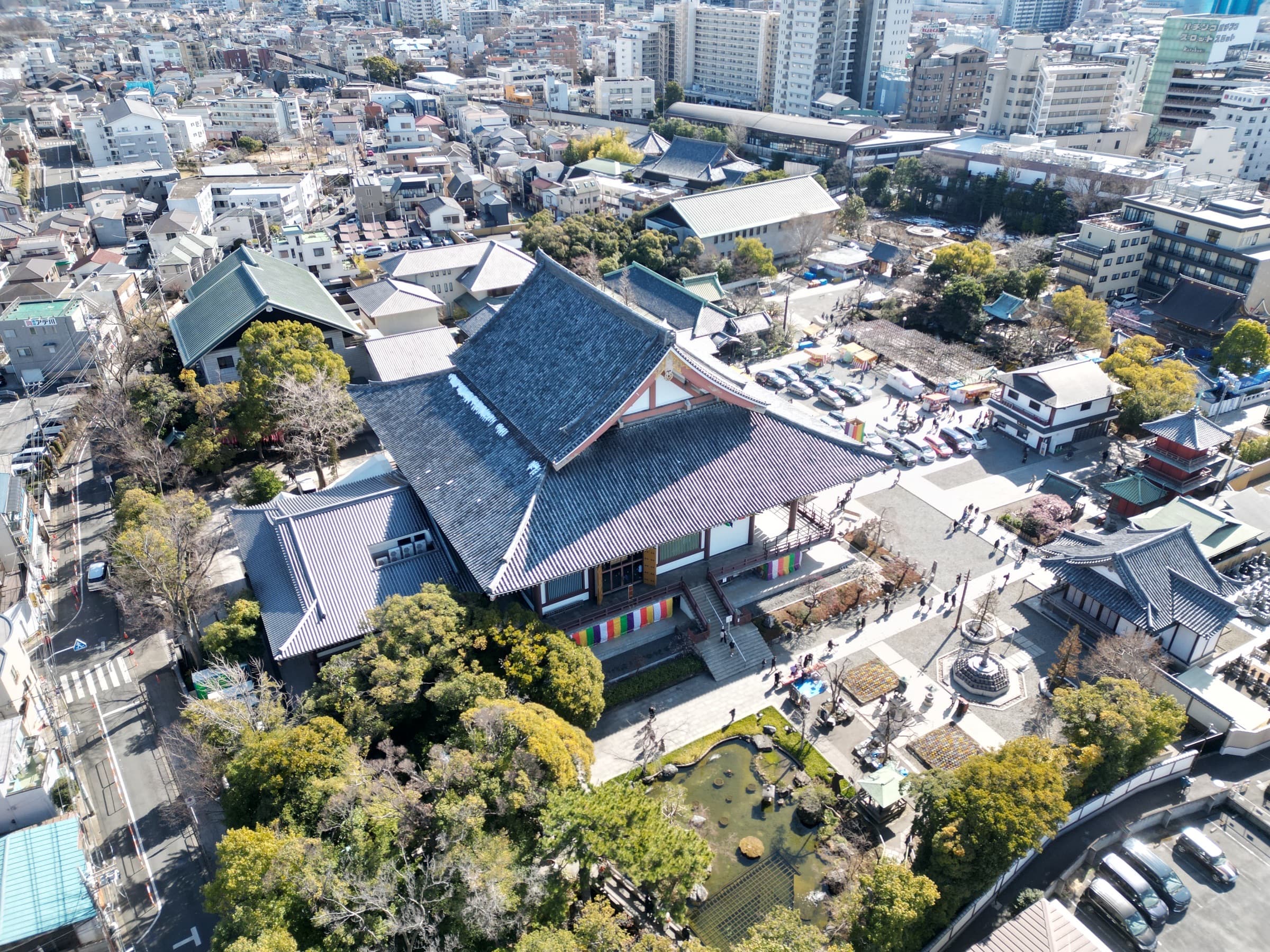 Aerial Study 05