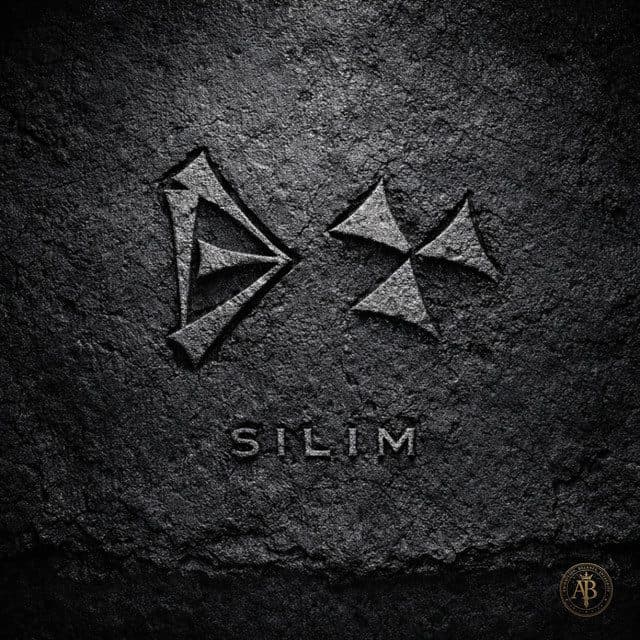SILIM album cover and metal print preview